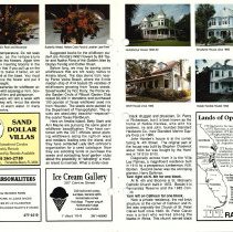 1989 Summer Amelia Now