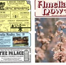 1990 Fall Amelia Now