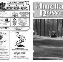 1989 - 1990 Winter Amelia Now