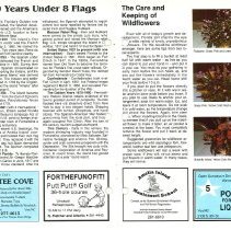 1990 Spring Amelia Now