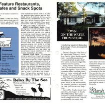 1990 Spring Amelia Now