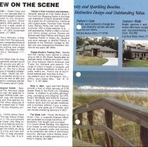 1990 Spring Amelia Now