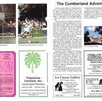 1990 Spring Amelia Now