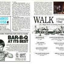 1990 Spring Amelia Now