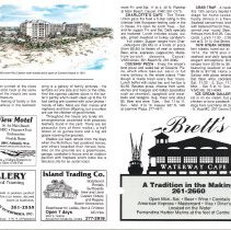 1990 Spring Amelia Now