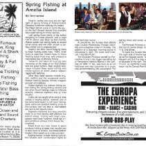 1990 Spring Amelia Now