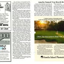 1990 Spring Amelia Now