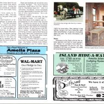 1990 Spring Amelia Now