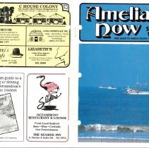 1990 Spring Amelia Now