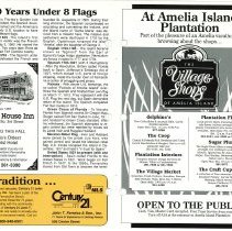 1990 Fall Amelia Now