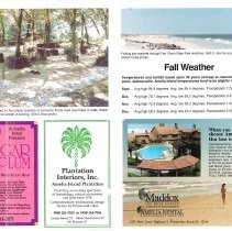 1990 Fall Amelia Now