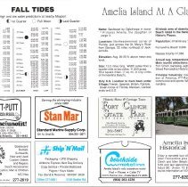 1990 Fall Amelia Now