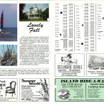 1990 Fall Amelia Now