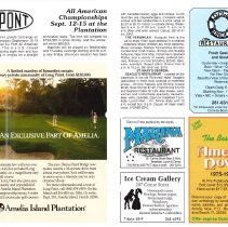 1990 Fall Amelia Now