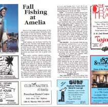 1990 Fall Amelia Now