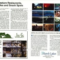 1990 Fall Amelia Now