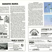 1990 Fall Amelia Now