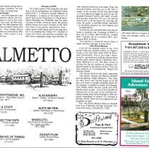 1990 Fall Amelia Now