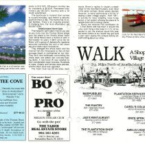 1990 Fall Amelia Now