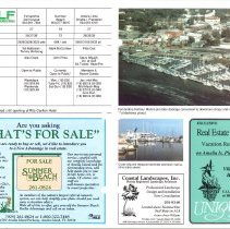 1990 Fall Amelia Now