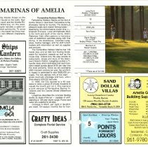 1990 Fall Amelia Now