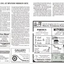 1990 Fall Amelia Now