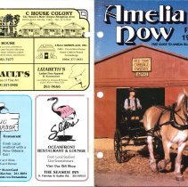 1990 Fall Amelia Now