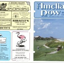 1990 - 1991 Winter Amelia Now