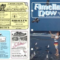 1991 Summer Amelia Now