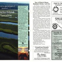 1991 Fall Amelia Now