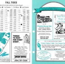 1991 Fall Amelia Now