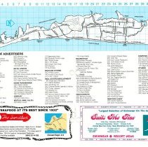 1991 Fall Amelia Now