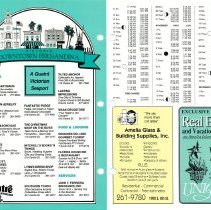 1991 Fall Amelia Now