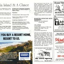 1991 Fall Amelia Now