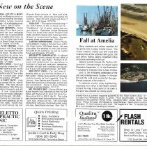 1991 Fall Amelia Now