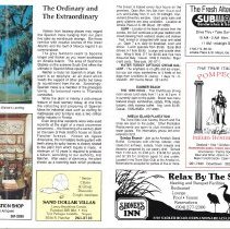 1991 Fall Amelia Now