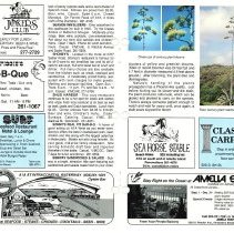 1991 Fall Amelia Now