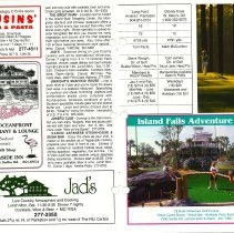 1991 Fall Amelia Now