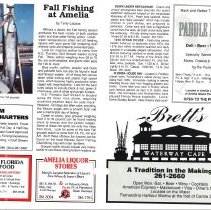 1991 Fall Amelia Now