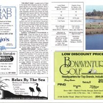 1991 - 1992 Winter Amelia Now