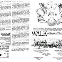 1991 - 1992 Winter Amelia Now