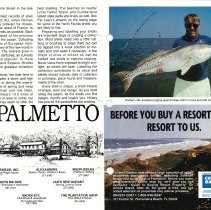 1991 - 1992 Winter Amelia Now