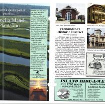 1991 - 1992 Winter Amelia Now