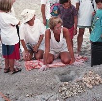1770 S. Fletcher Turtle Watch
Aerial Beach--Main