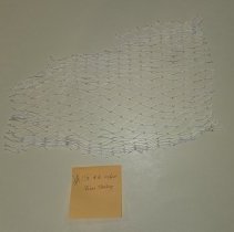 Sample of shrimp netting