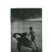 20251106135937931_0002