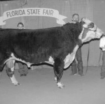 Florida State Fair