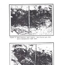 20251211131432363_0010