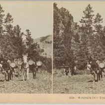 Stereoview card