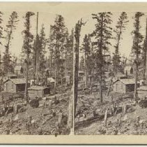 Stereoview card